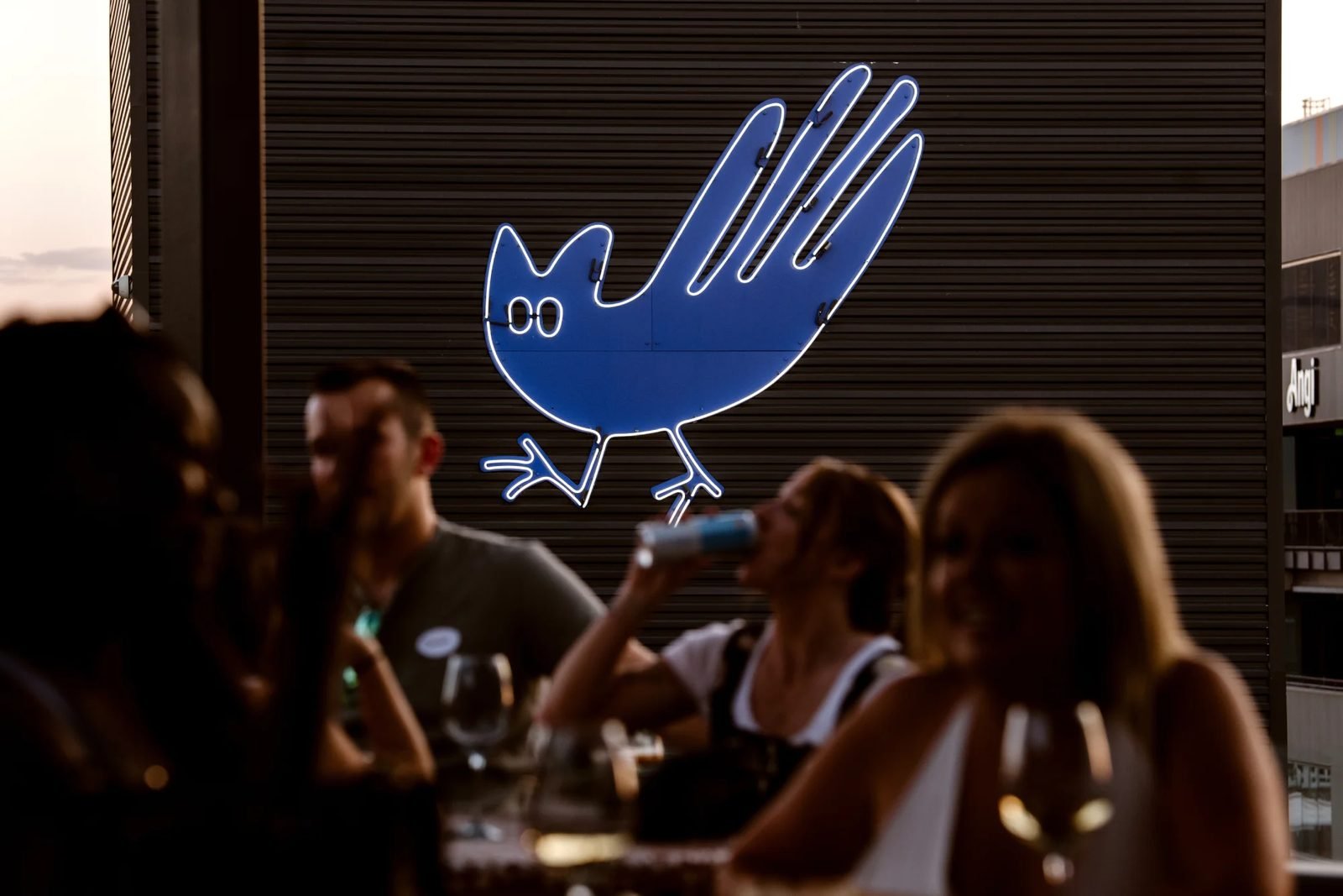 Evening crowd under the Catbird bird sign